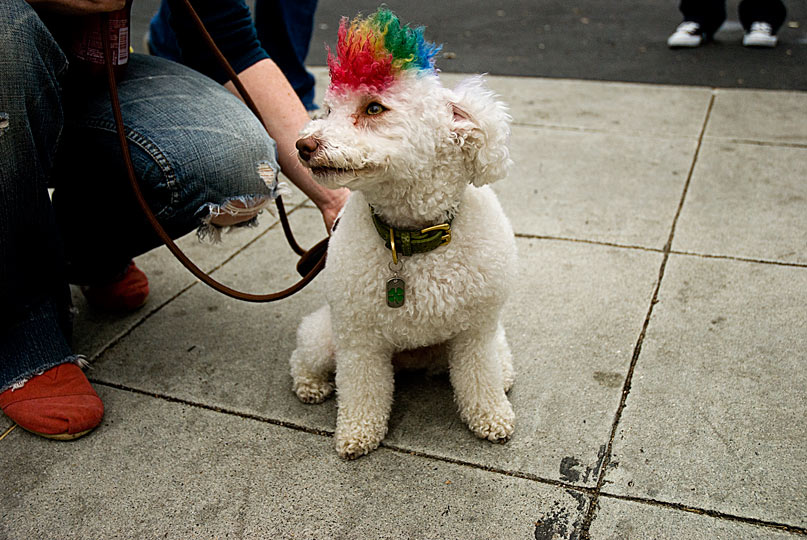 Los-Angeles-Pride_GLIU8-gingerliu