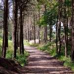The Village Revisited