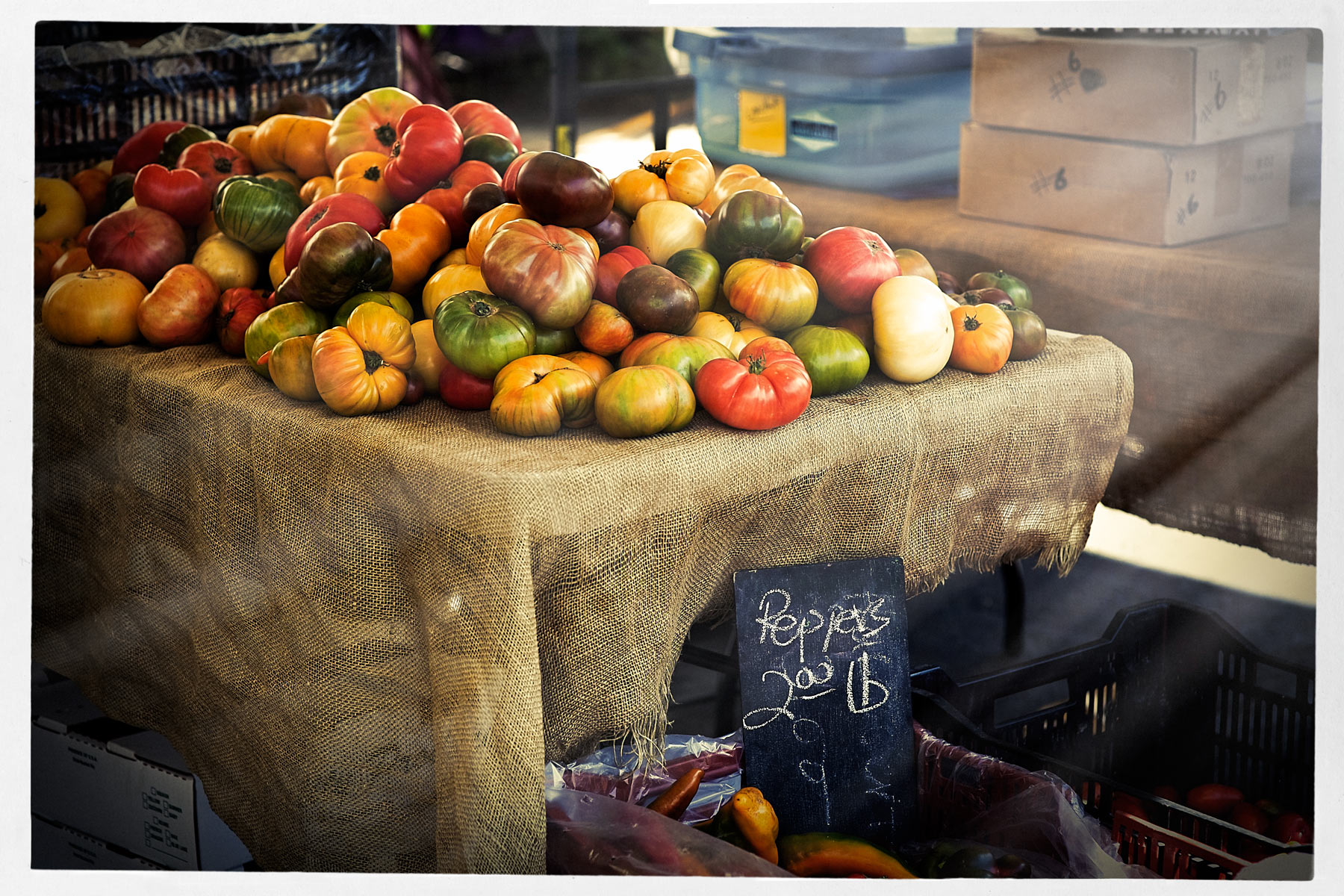 Larchmont Blvd Farmers' Market. Los Angeles. CA