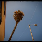 Hollywood 15 by Ginger Liu Photography