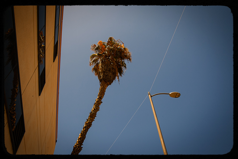 Hollywood 15 by Ginger Liu Photography