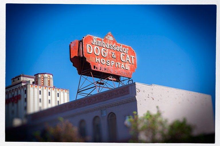 Hollywood 15 by GLIUPHOTO