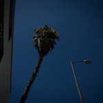Hollywood 15 by Ginger Liu