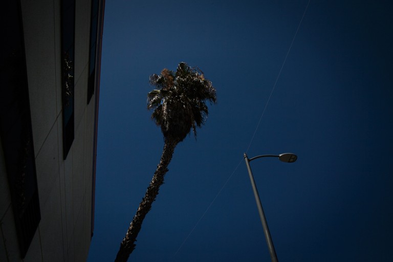 Hollywood 15 by Ginger Liu
